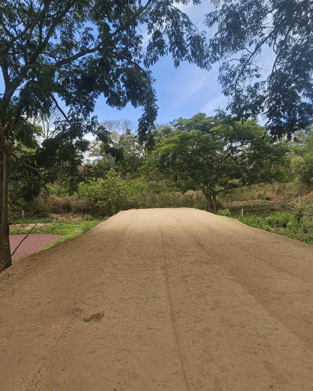 La-provincia-sopetran (11)