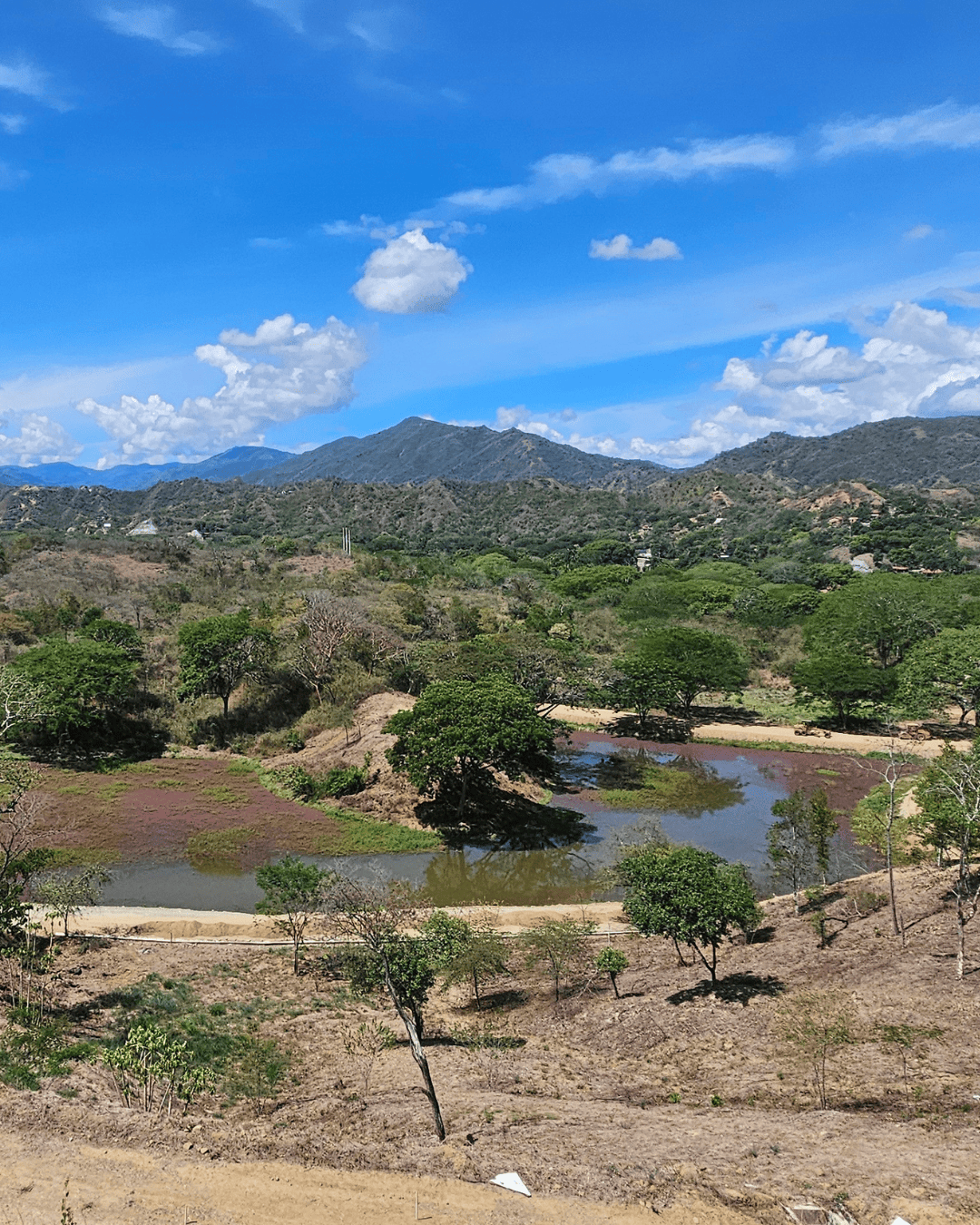 La-provincia-sopetran (4)