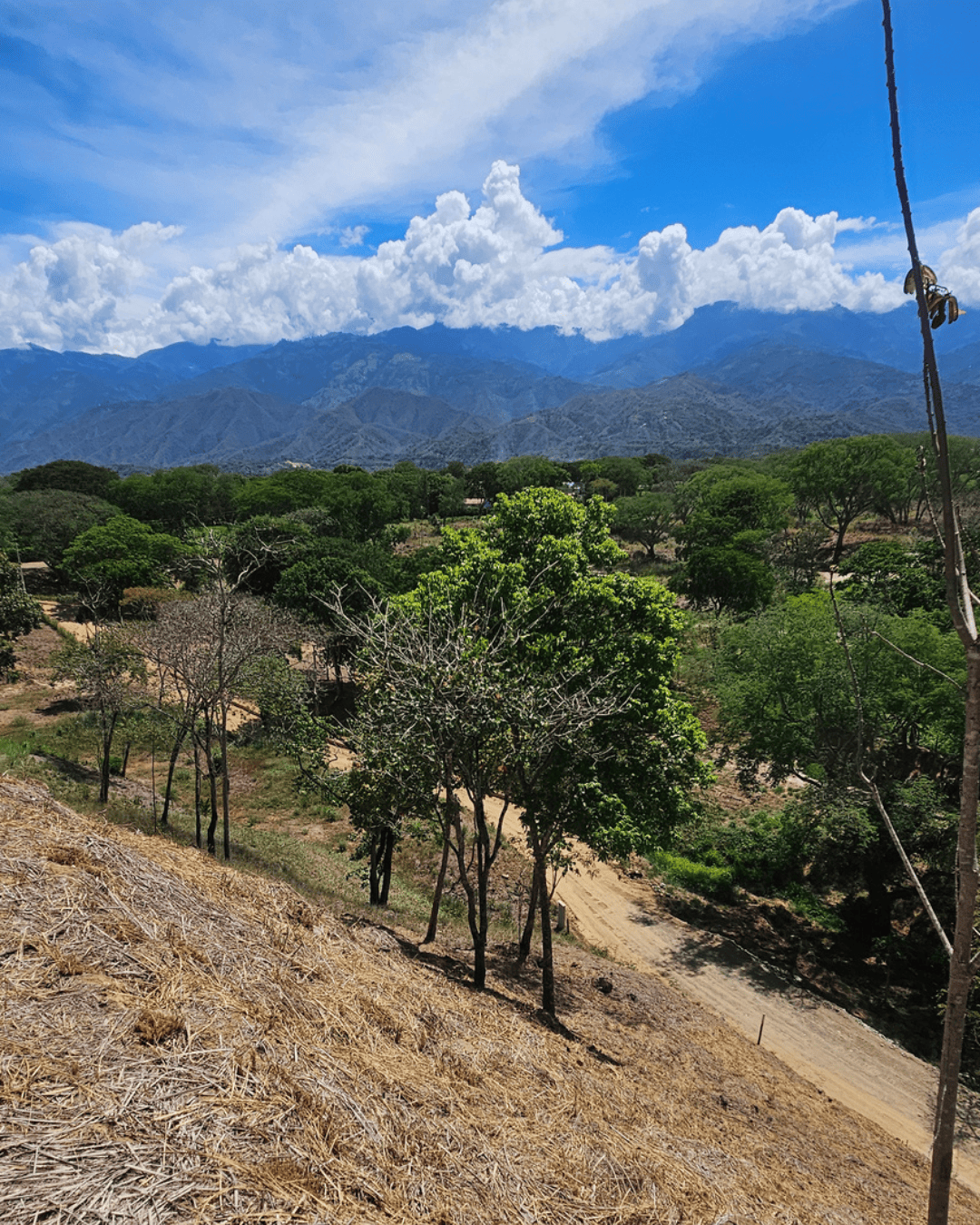 La-provincia-sopetran (6)