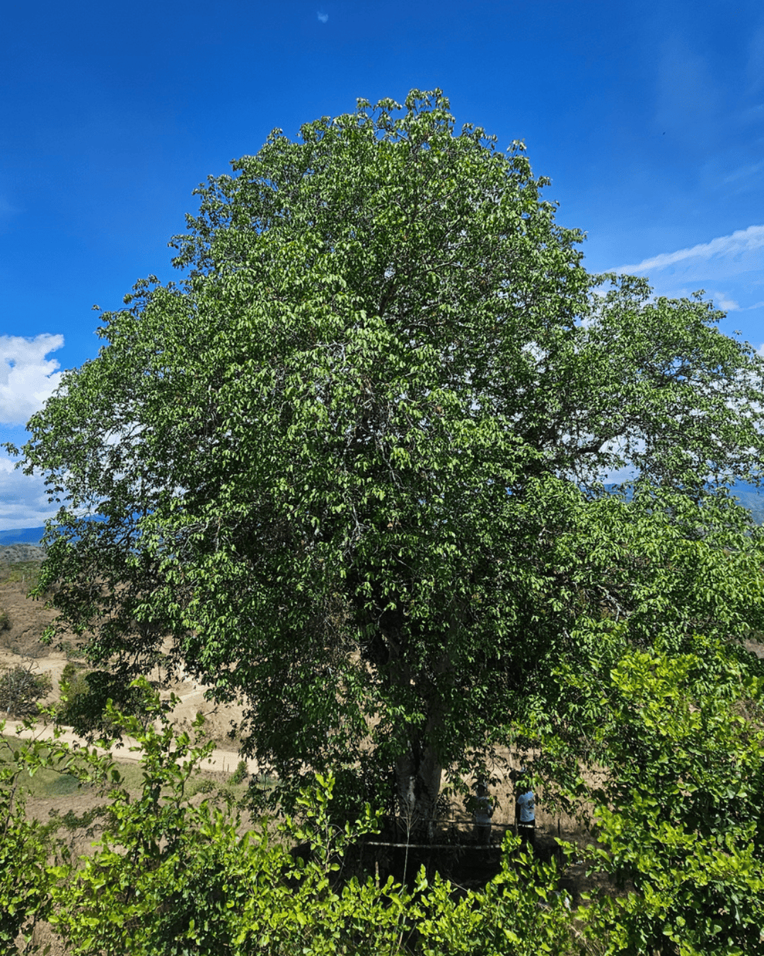 La-provincia-sopetran (7)