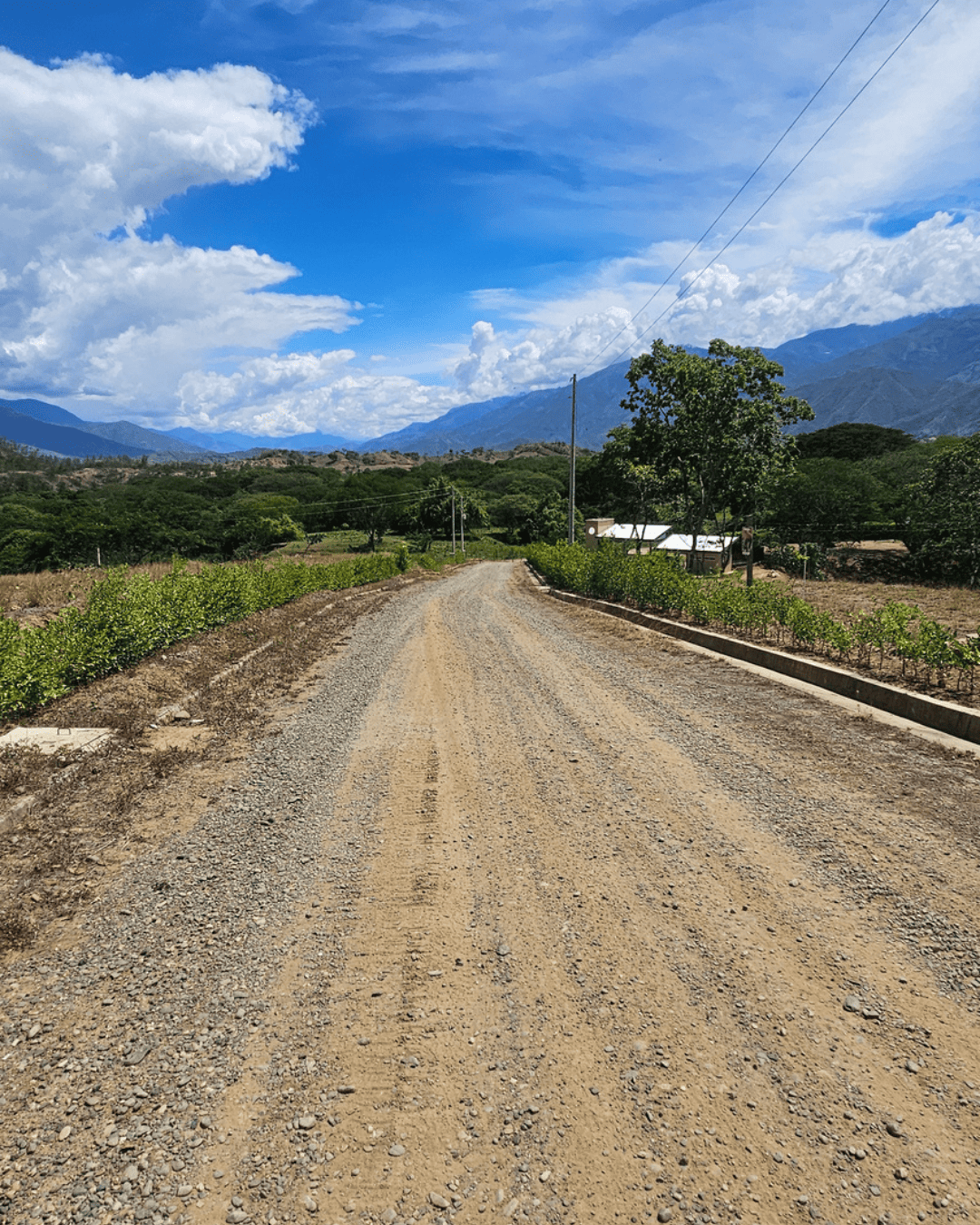 La-provincia-sopetran (8)