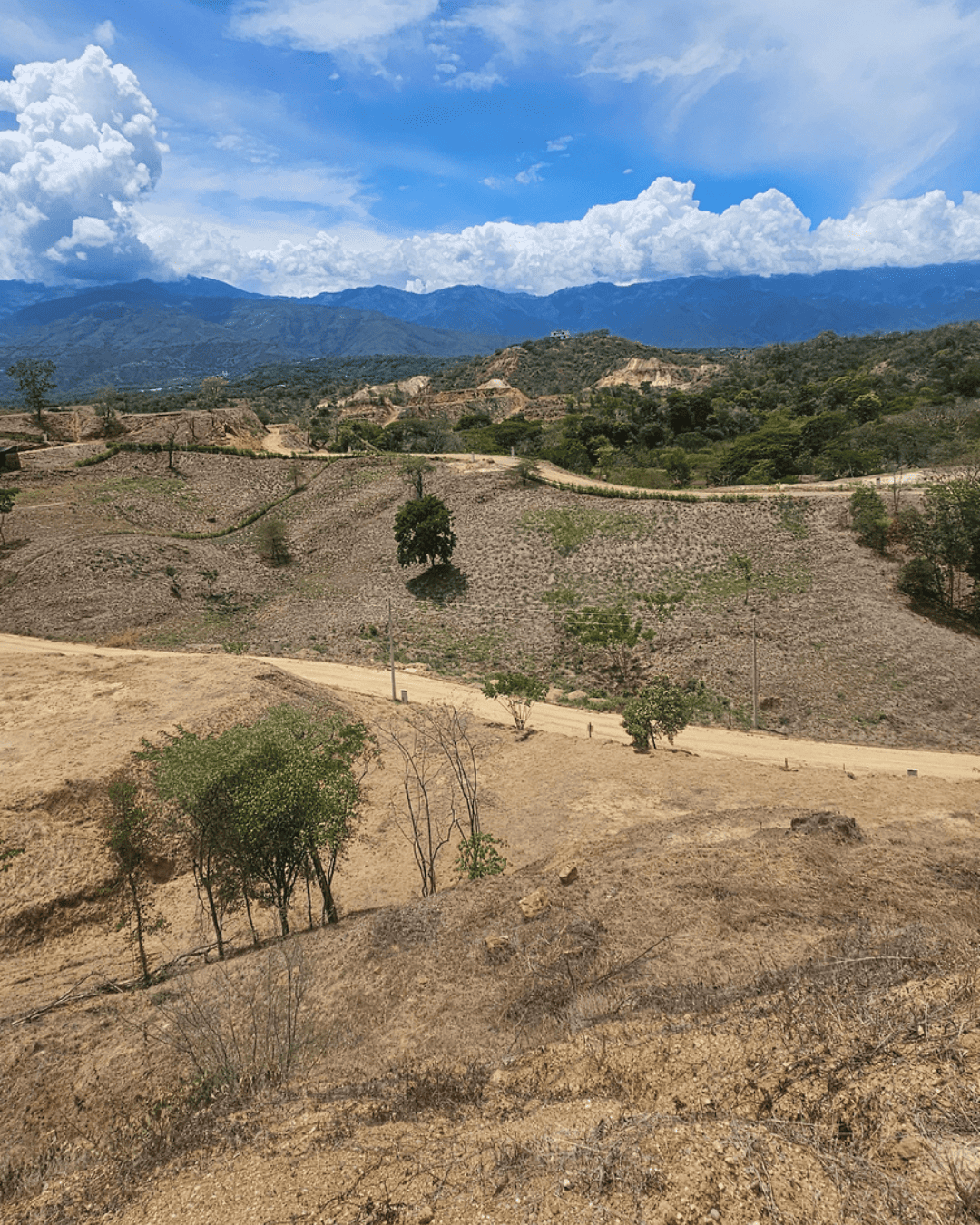 La-provincia-sopetran (9)